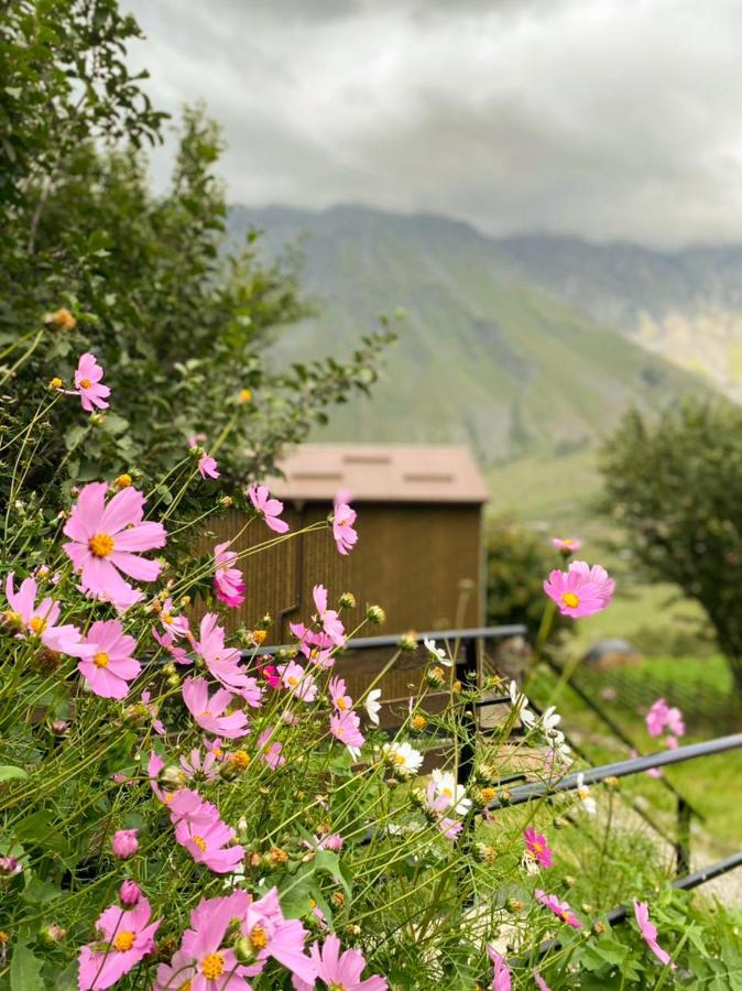 My Space Kazbegi Apartment Екстериор снимка
